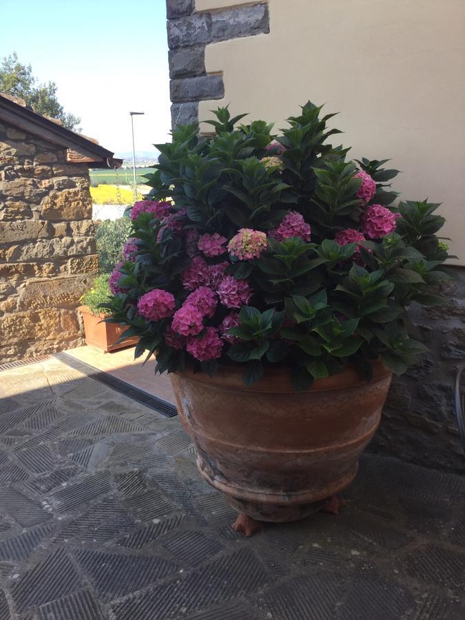 Agriturismo Borgo Tra Gli Olivi Castiglion Fiorentino Exterior foto